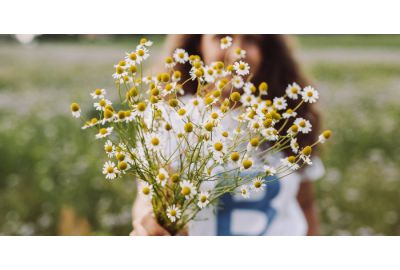 Traitement allergie au pollen : symptômes et solutions