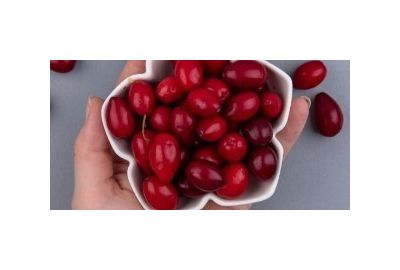 Le cranberry : la petite baie rouge aux mille vertus