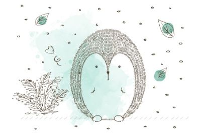 E se passassimo al bio? 