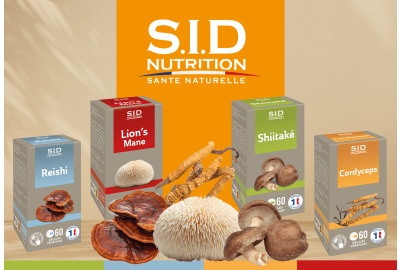 Mycothérapie : L'avis du Dr Gauthier sur les champignons médicinaux | S.I.D Nutrition