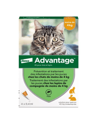 -20% su Advantage