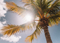 Comment fabriquer son autobronzant naturel ?