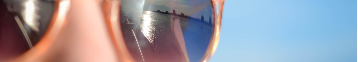 Bannière article rosacee