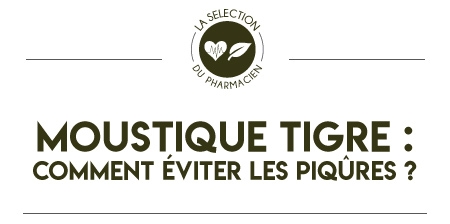 Piqure de moustique tigre : comment éviter les piqûres de moustiques ?