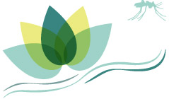 Protection anti-moustiques phototype 1