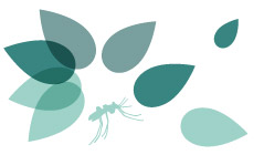 Protection anti-moustiques phototype 2