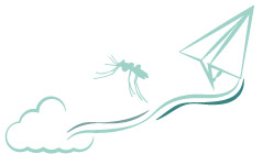 Protection anti-moustiques phototype 2