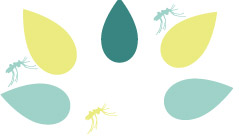 Protection anti-moustiques phototype 2